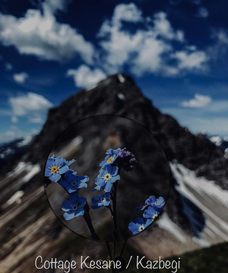 Cottage Kesane Kazbegi Dış mekan fotoğraf